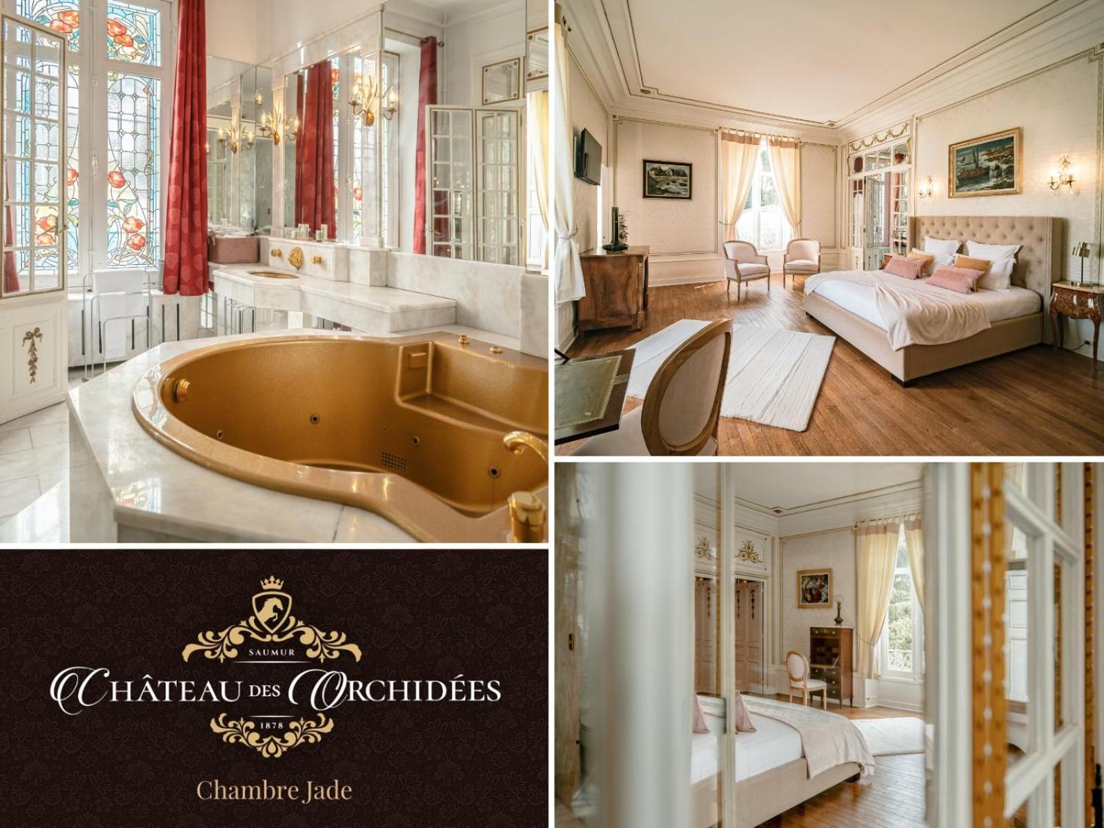 Chambres d'hôtes Château Les Orchidées SAUMUR Exterior foto